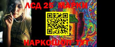 соль ск Гатчина
