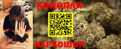 крисы Гагарин