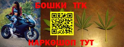 крисы Гагарин