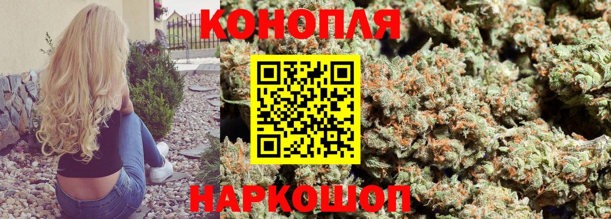 Бошки марихуана планчик  Бошки марихуана Amnesia  Марихуана тримм  Дмитров  Вход с VPN 